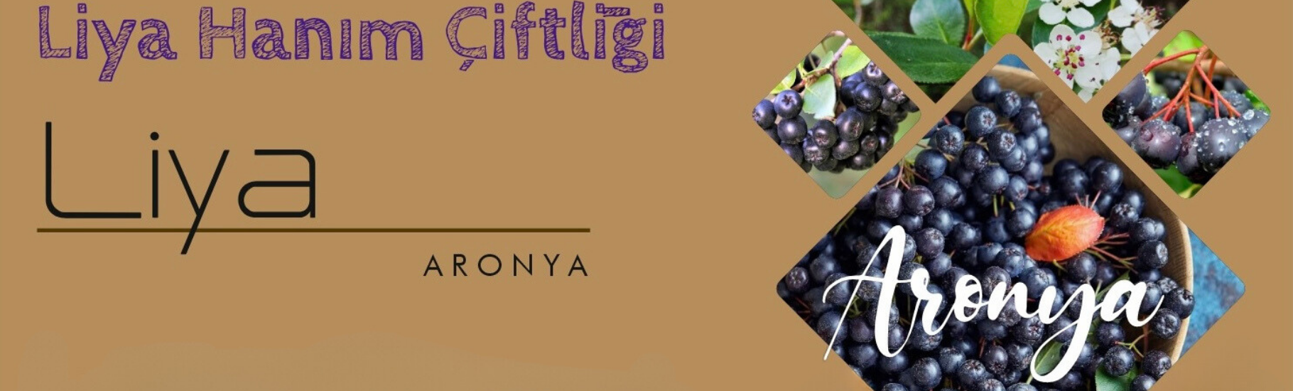 Aronya İksiri